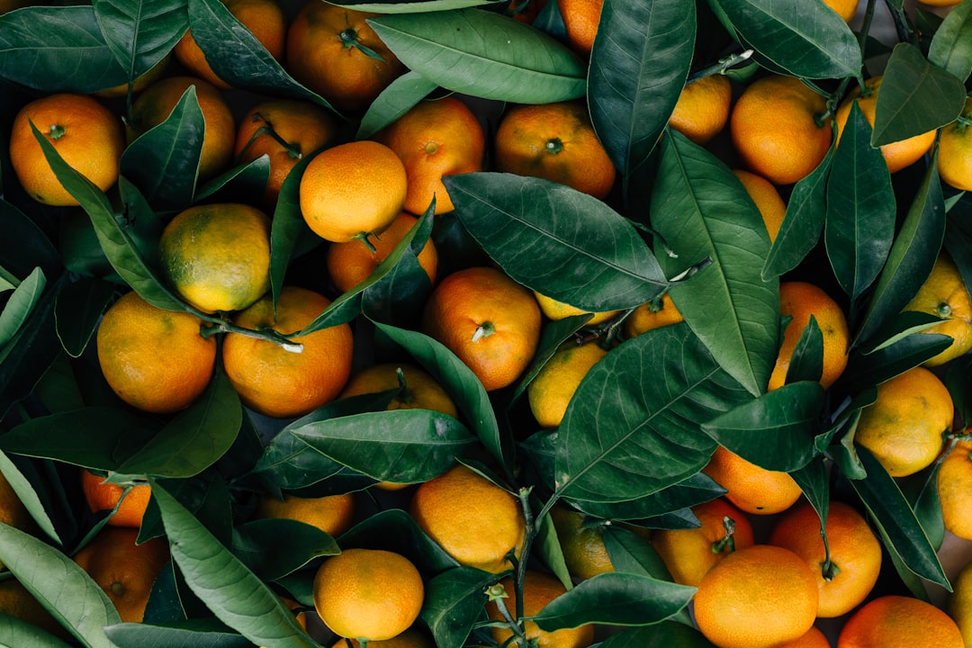 Photo Orange blossoms